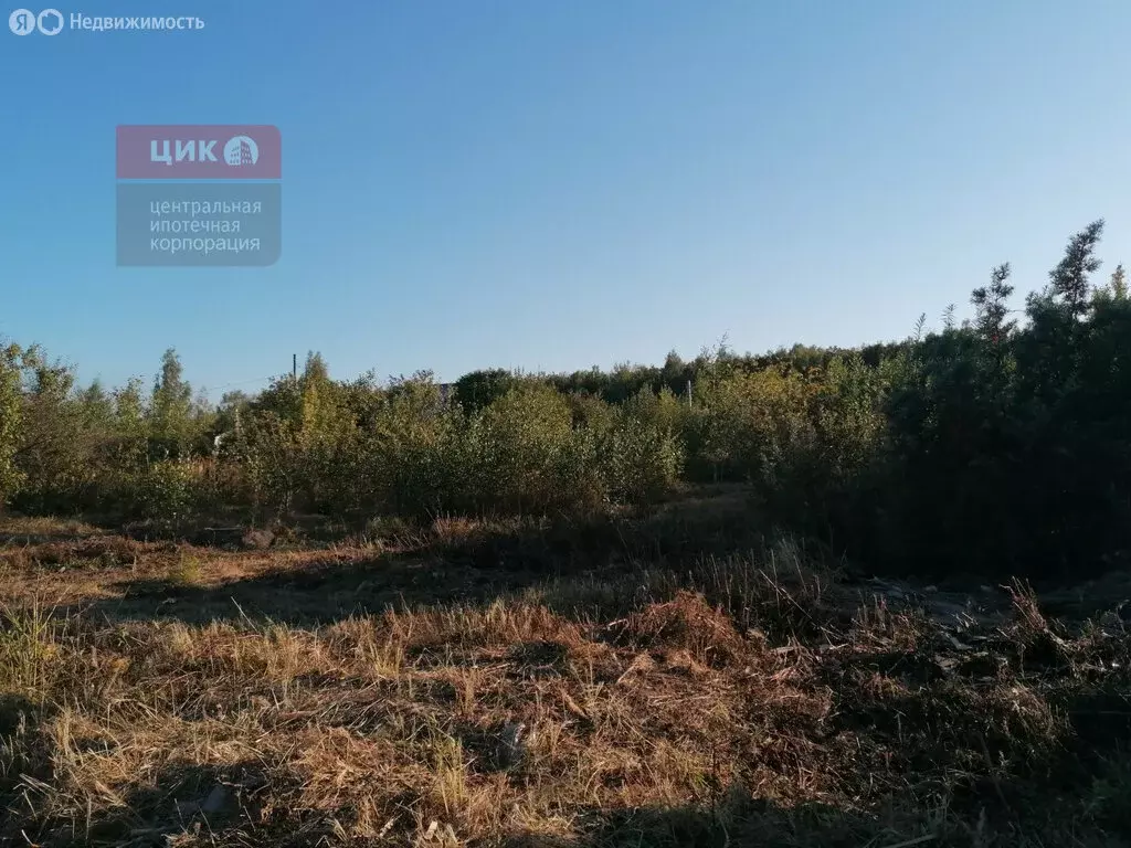 Участок в Баграмовское сельское поселение, СДТ Виктория (8.16 м) - Фото 0