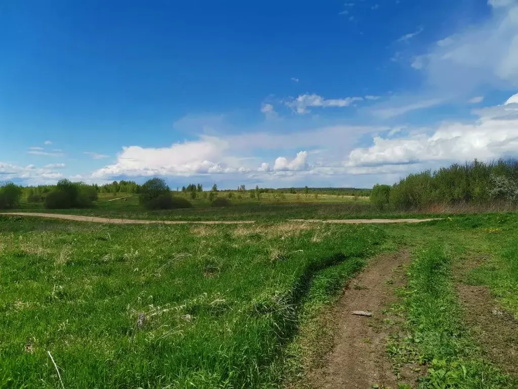 Участок в Ярославская область, Переславль-Залесский городской округ, ... - Фото 0