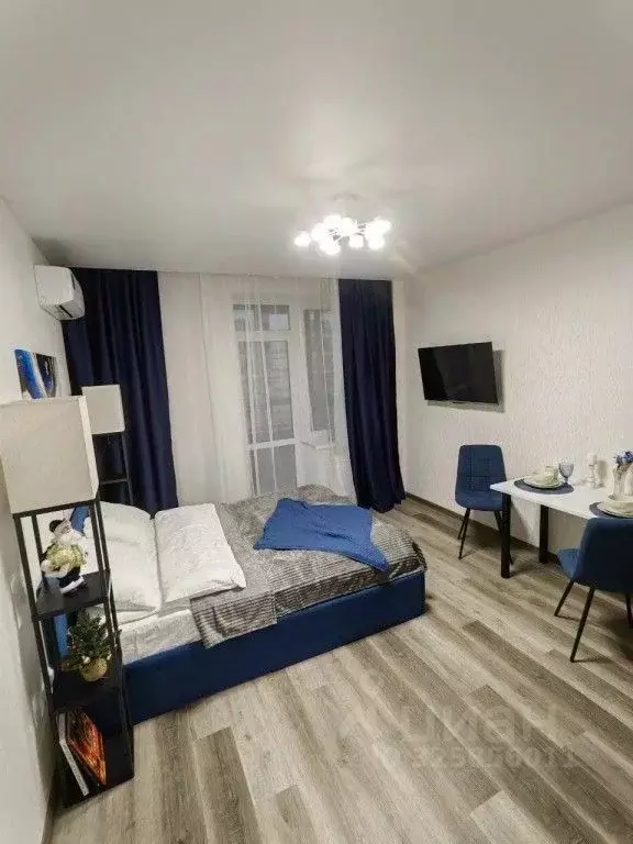 1-к кв. Санкт-Петербург Коломяжский просп., 13к2 (23.0 м) - Фото 2