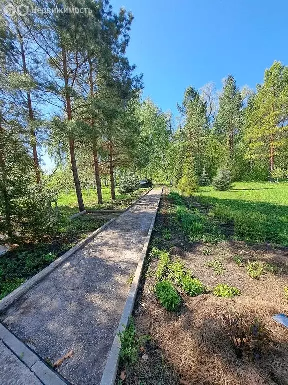 Дом в Грачёвка, Центральная улица, 36 (230 м) - Фото 2