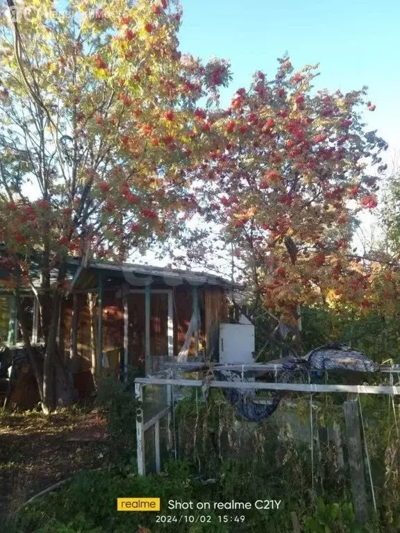 Дом в Курган, СНТ Тюльпан (25 м) - Фото 2