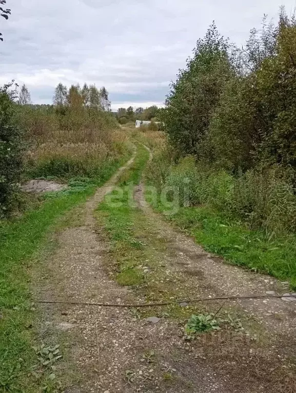 Участок в Калининградская область, Светловский городской округ, пос. ... - Фото 1