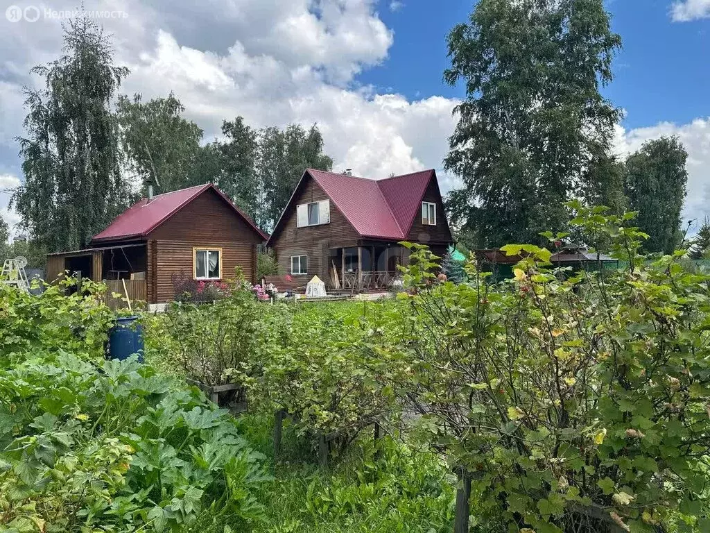 Дом в Тюмень, СНТ Надежда-2, Ромашковая улица (49.6 м) - Фото 1