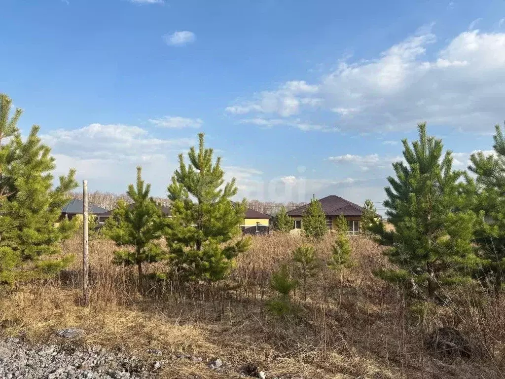 Участок в Тюменская область, Тюменский муниципальный округ, д. Елань, ... - Фото 2