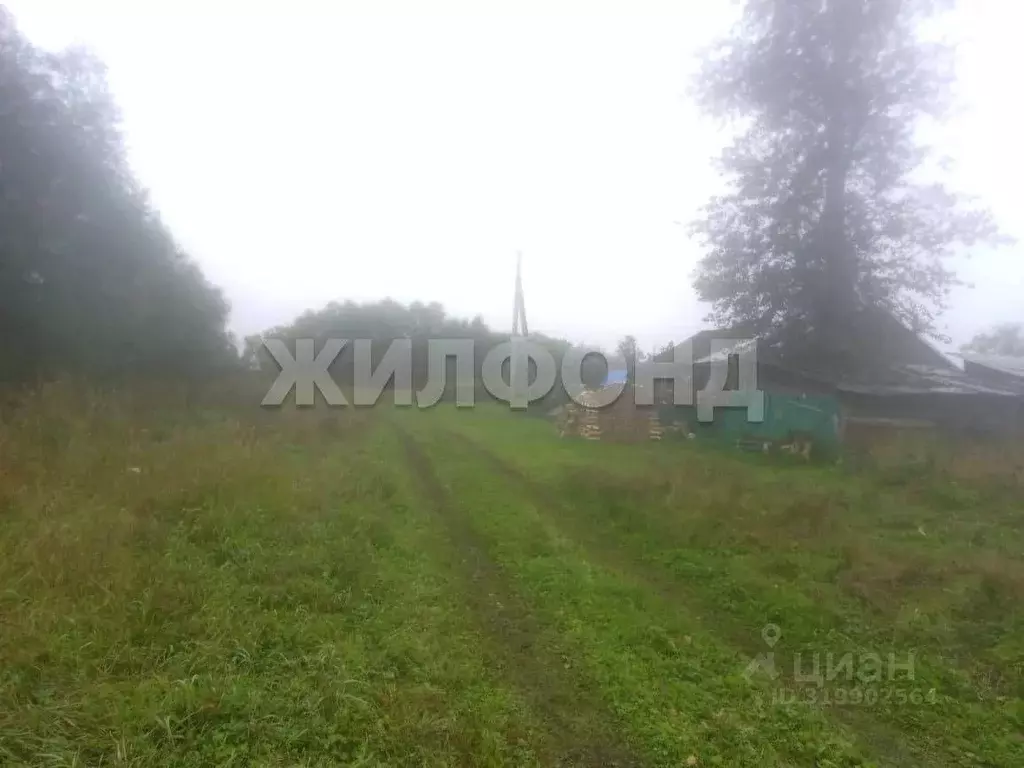 Дом в Новосибирская область, Колыванский район, с. Боярка ул. ... - Фото 1