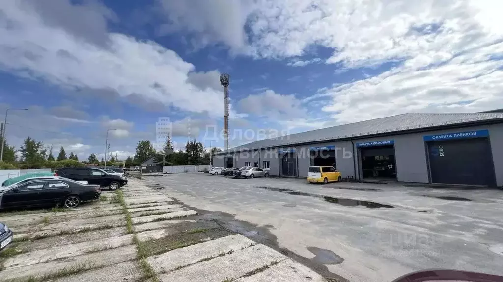 Склад в Новгородская область, Новгородский муниципальный округ, ... - Фото 1