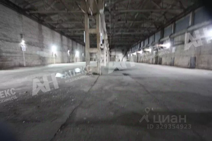 Склад в Московская область, Раменский муниципальный округ, д. ... - Фото 1