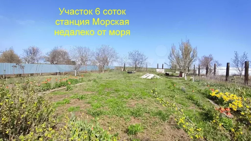 Участок 6 сот. (СНТ, ДНП) - Фото 1