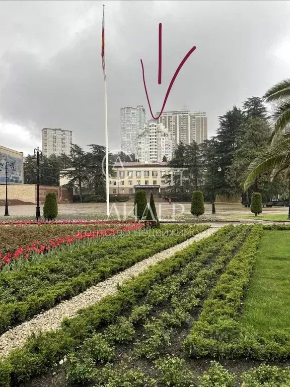 Помещение свободного назначения в Краснодарский край, Сочи Центральный ... - Фото 1