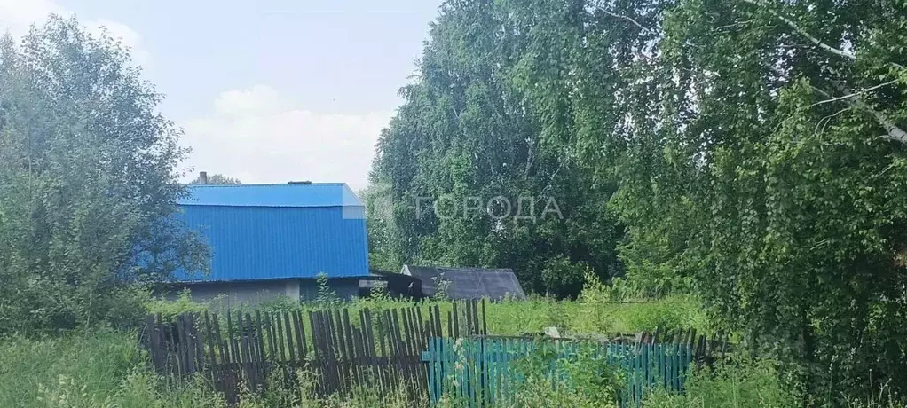 Дом в Кемеровская область, Мыски Отрадная ул., 14 (19 м) - Фото 1