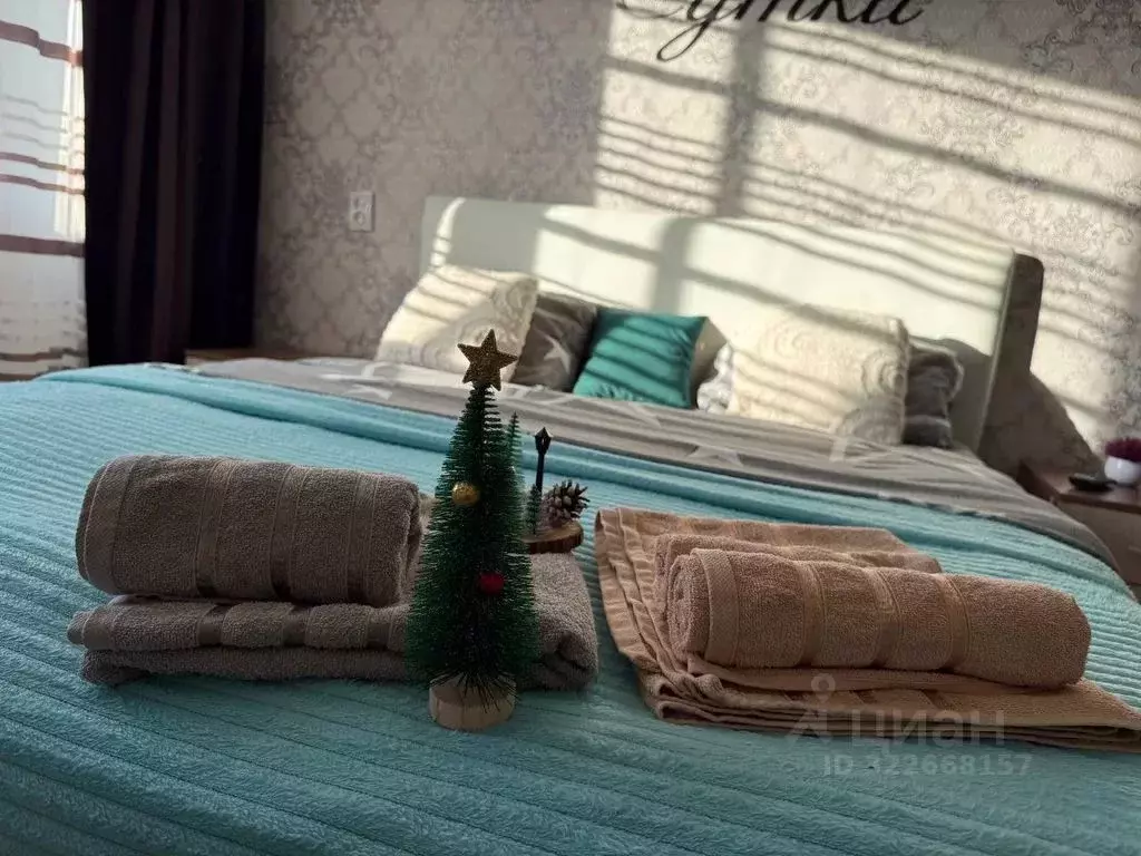 1-к кв. Челябинская область, Троицк ул. Имени Степана Разина, 69 (32.0 ... - Фото 2