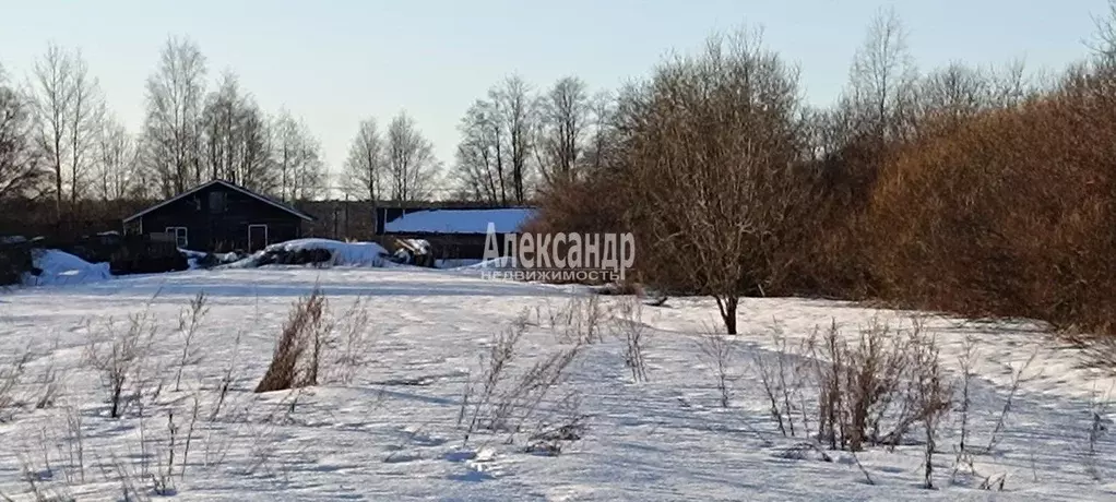 Участок в Ленинградская область, Приозерский район, Ромашкинское ... - Фото 0