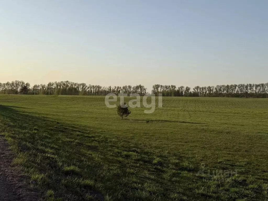 Участок в Алтайский край, Алтайский район, с. Булатово Центральная ул. ... - Фото 1