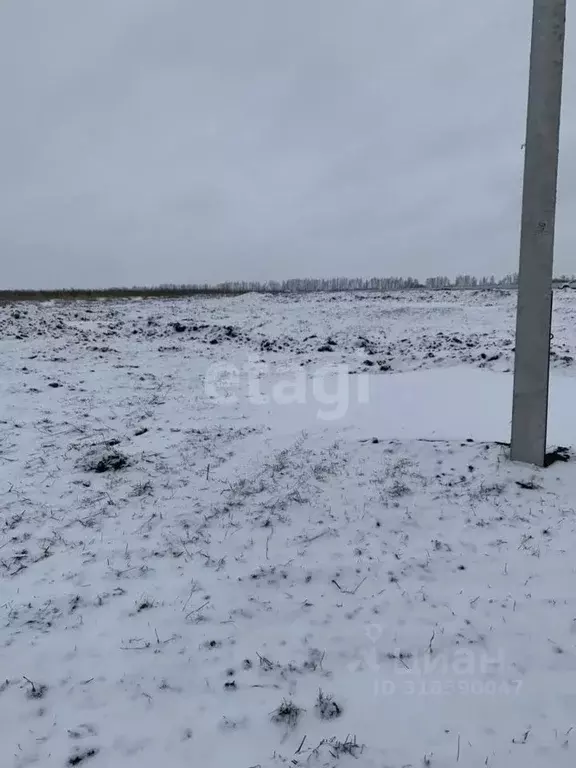 Участок в Белгородская область, Белгородский район, Головинское с/пос, ... - Фото 0