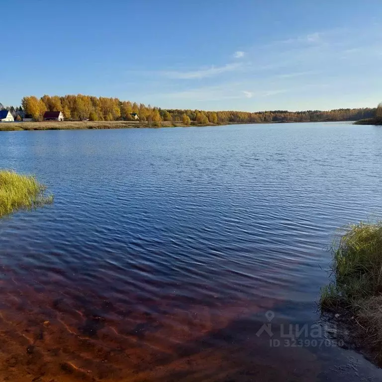 Участок в Московская область, Талдомский городской округ, с. ... - Фото 2