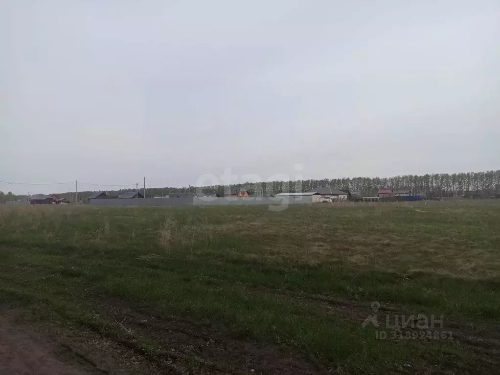 Участок в Омская область, Омский район, с. Усть-Заостровка  (10.0 ... - Фото 1