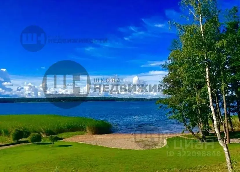 Участок в Ленинградская область, Приозерский район, Запорожское с/пос, ... - Фото 2