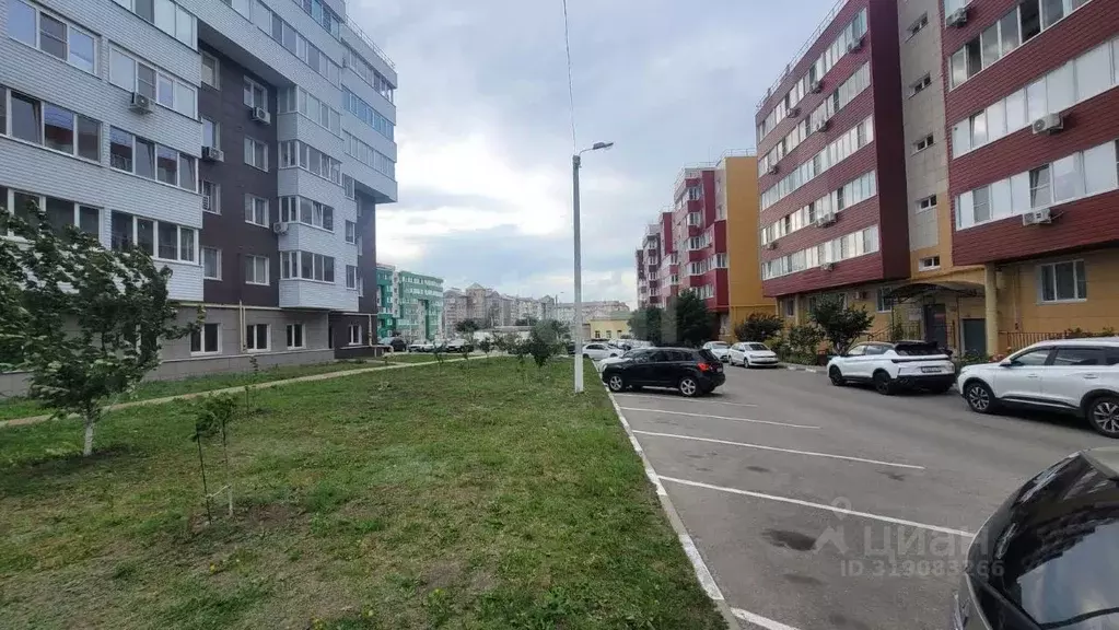 Офис в Белгородская область, Белгородский район, Дубовское с/пос, пос. ... - Фото 1