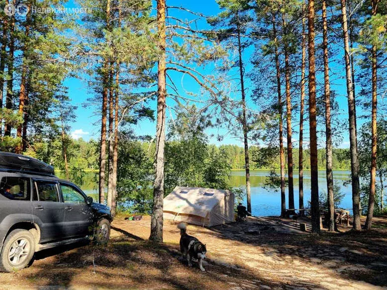 Участок в Олонецкий район, Коверское сельское поселение, деревня ... - Фото 1