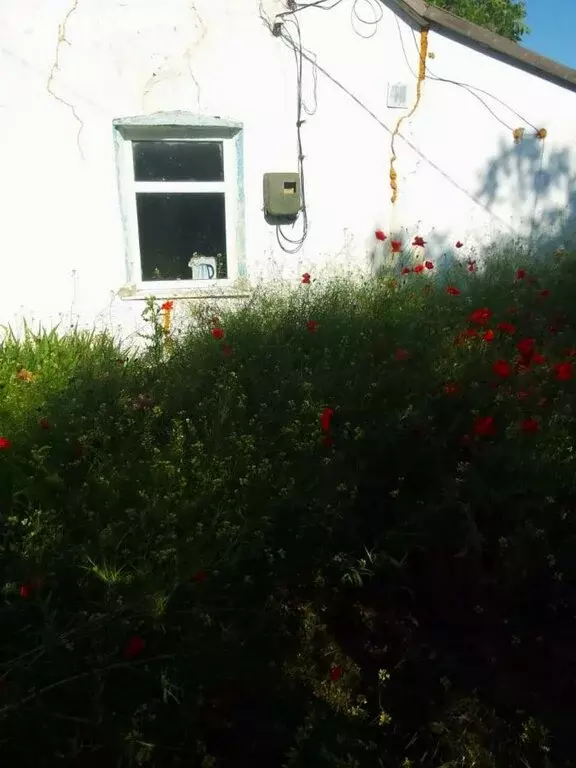 Дом в Березовское сельское поселение, село Нива, Виноградная улица, 48 ... - Фото 1