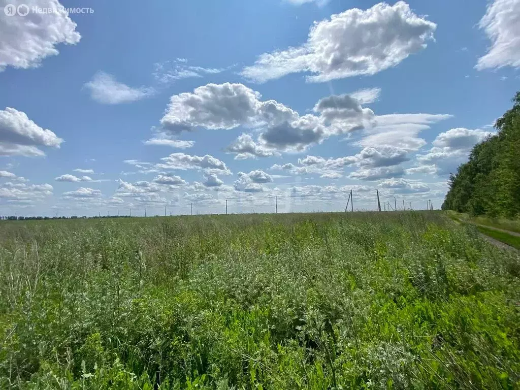 Участок в Тамбовский муниципальный округ, село Козьмодемьяновка ... - Фото 1