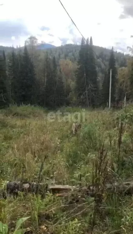 Участок в посёлок городского типа Шерегеш, Рябиновая улица (12 м) - Фото 0