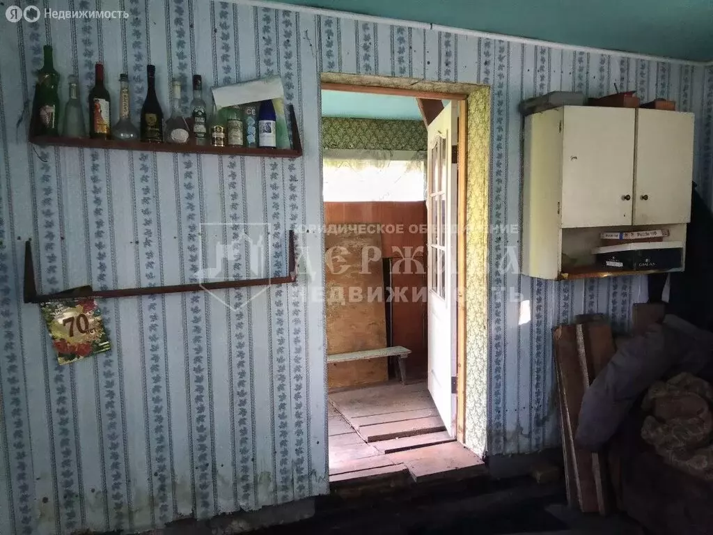 Участок в Междуреченск, дачный посёлок Брусничка, 132 (8 м) - Фото 1