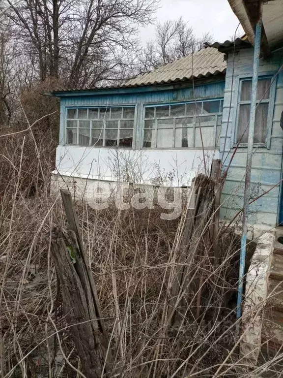 Дом в Белгородская область, Волоконовский район, с. Староивановка ... - Фото 1