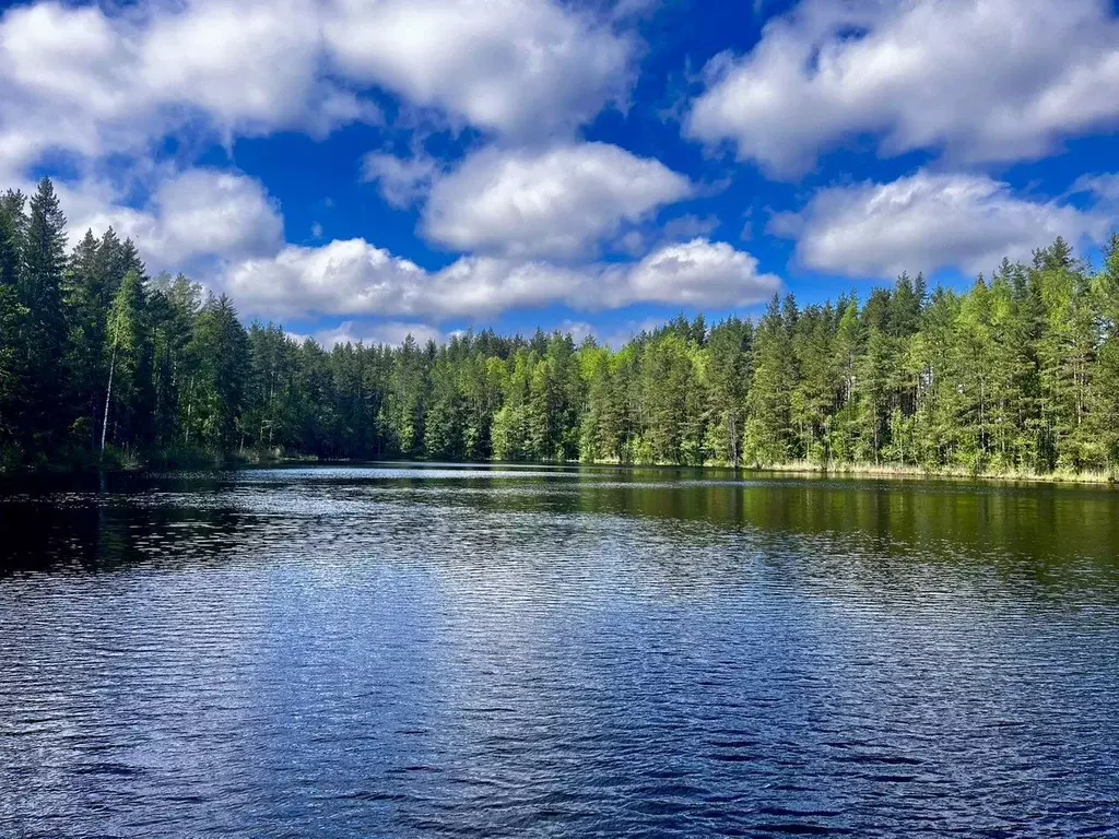 Участок в Ленинградская область, Выборгский район, Красносельское ... - Фото 1