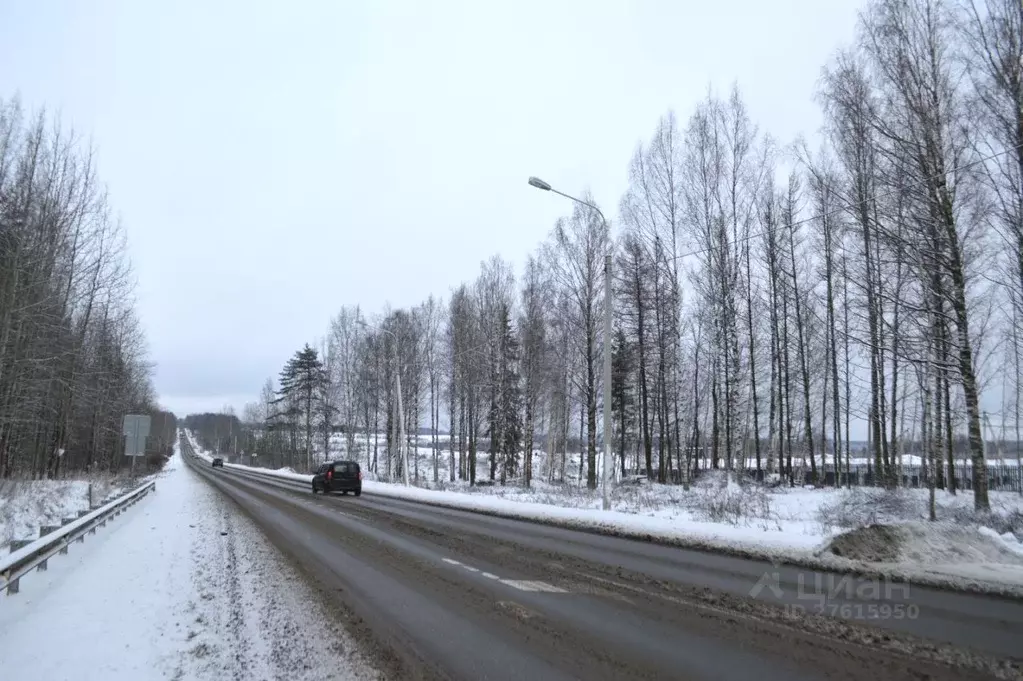 Участок в Ленинградская область, Всеволожский район, Агалатовское ... - Фото 1