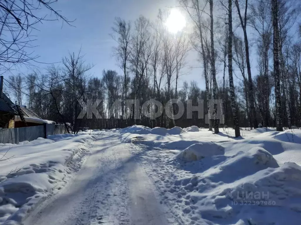 Участок в Новосибирская область, Новосибирск  (11.0 сот.) - Фото 2