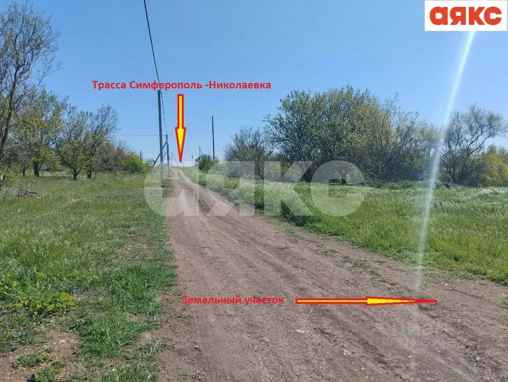 Участок в Крым, Симферопольский район, Перовское с/пос, Новозбурьевка ... - Фото 2