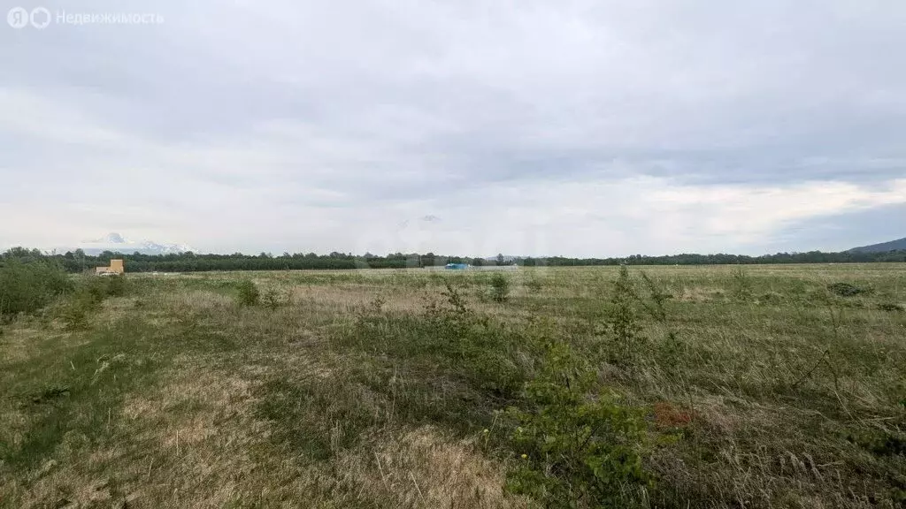 Участок в Елизовский район, село Сосновка (15 м) - Фото 0