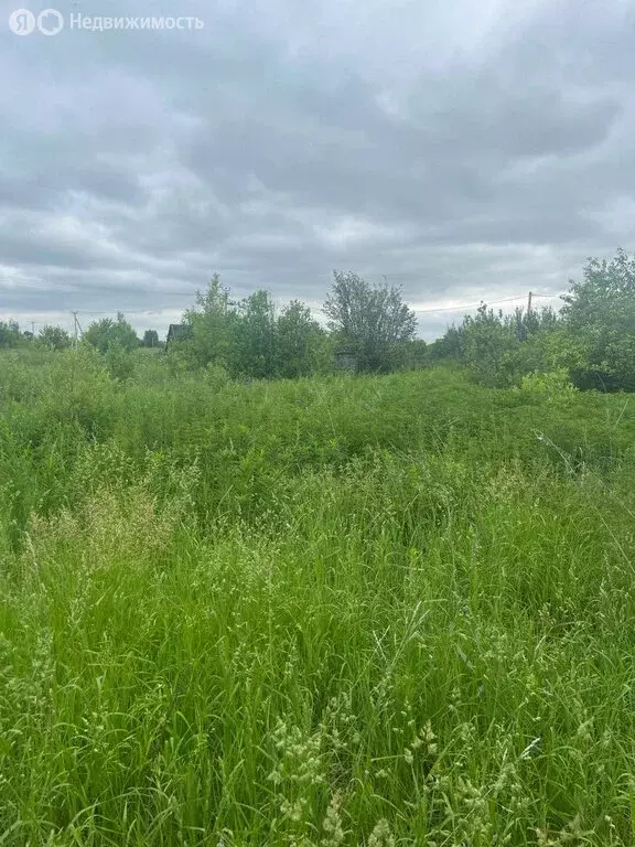 Участок в Ялуторовск, улица Полковникова (10 м) - Фото 0