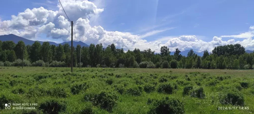 Участок в Алтай, Усть-Коксинский район, пос. Октябрьское ул. Дорожная ... - Фото 1