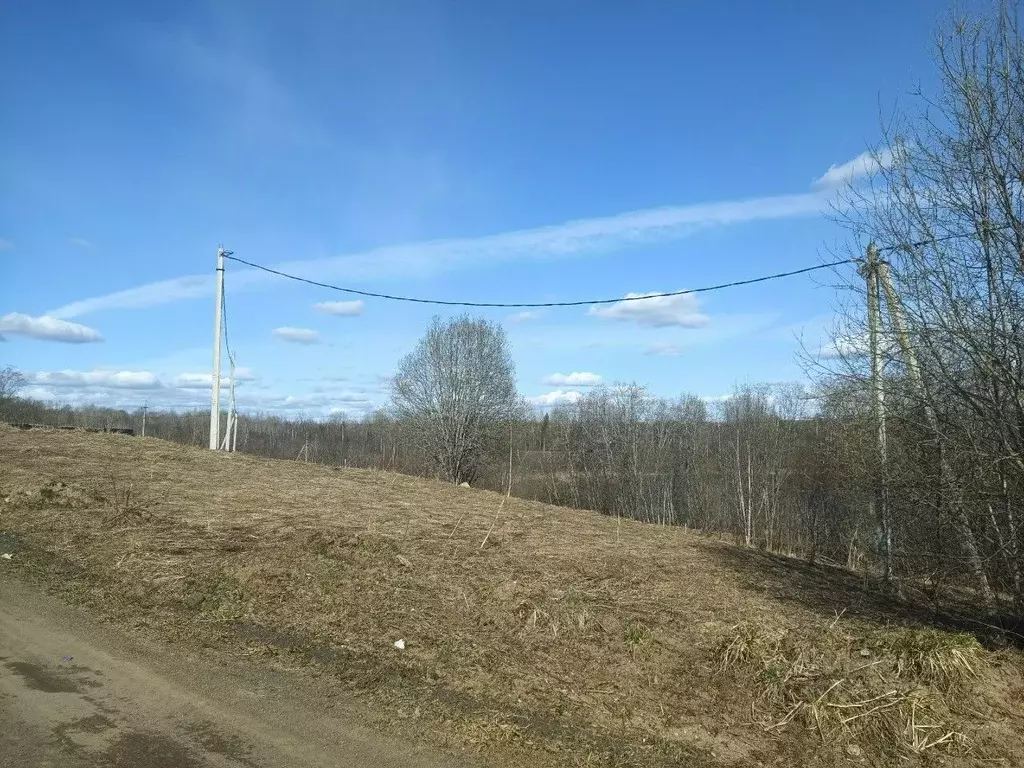 Участок в Новгородская область, Валдайский муниципальный район, ... - Фото 2