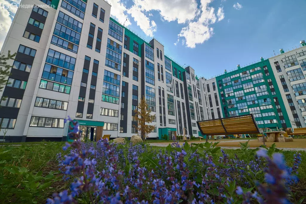 Квартира-студия: посёлок Западный, улица Дружбы, 6 (26.42 м) - Фото 2