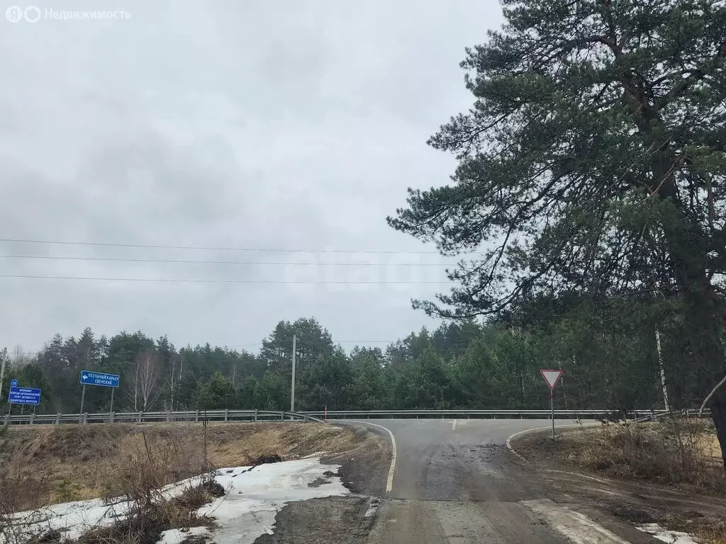 Участок в Брянский район, Журиничское сельское поселение (486 м) - Фото 2