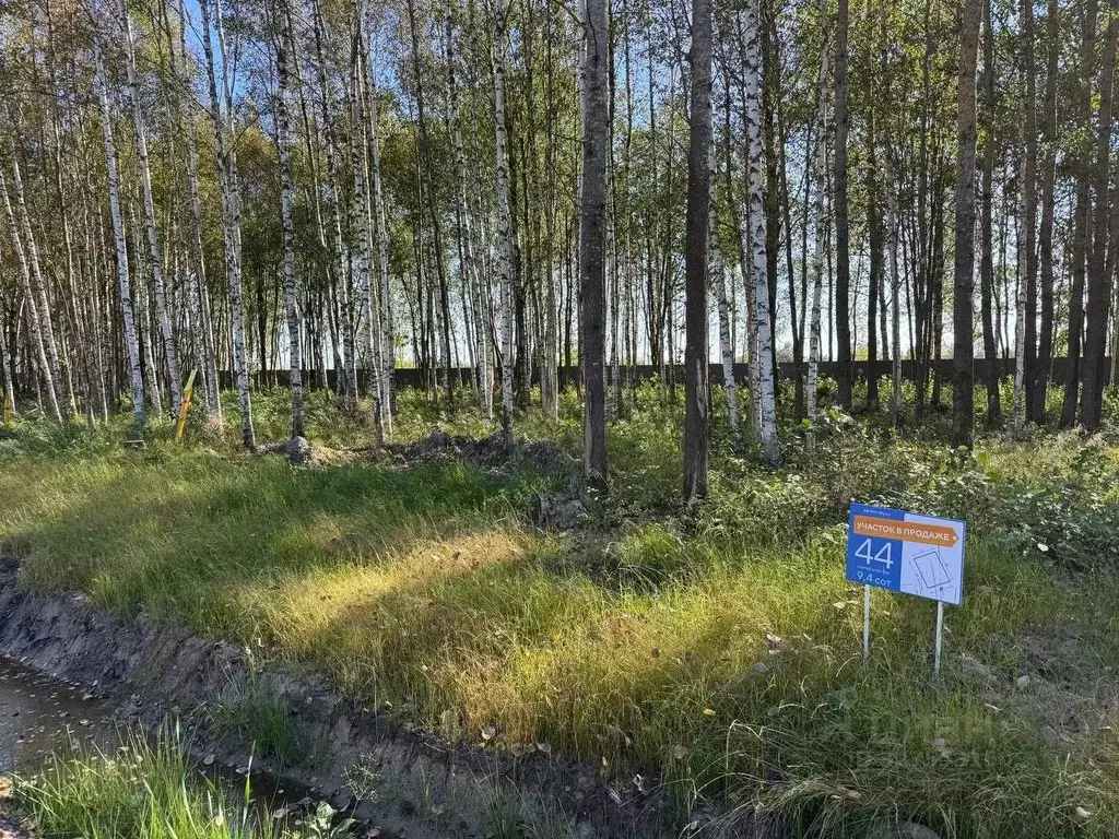 Участок в Санкт-Петербург, Санкт-Петербург, Павловск Павлов Скай кп, ... - Фото 2