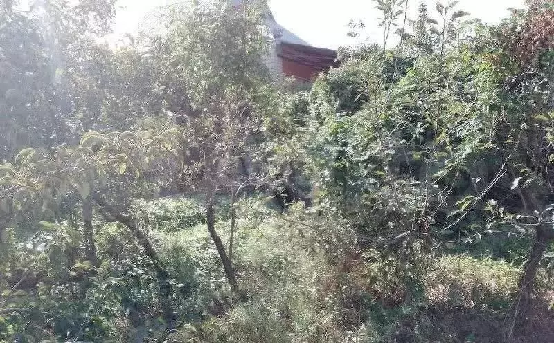 Участок 10 сот. (СНТ, ДНП) - Фото 1