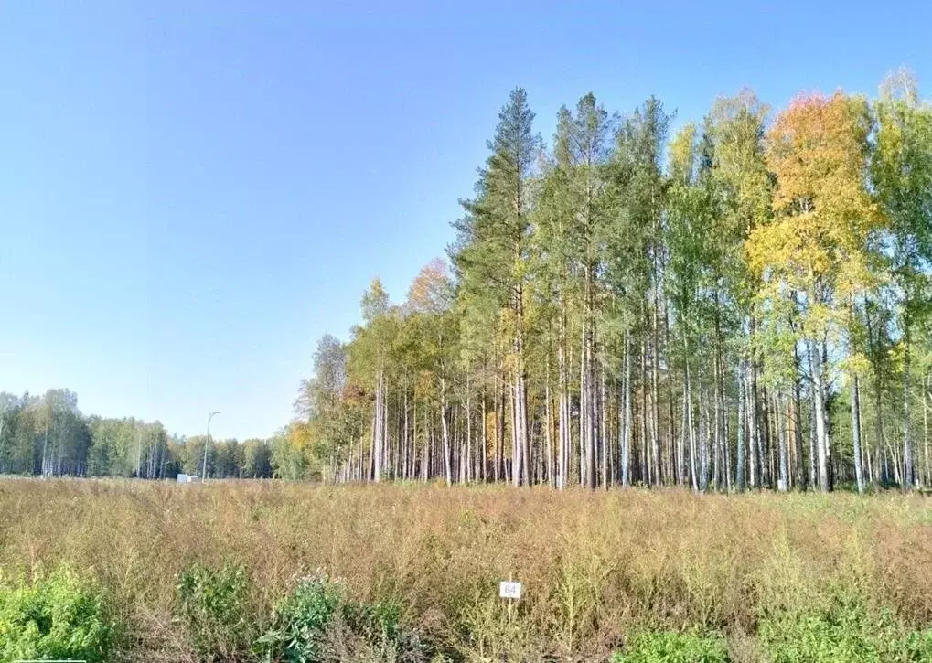 Участок в Свердловская область, Сысертский городской округ, пос. ... - Фото 1