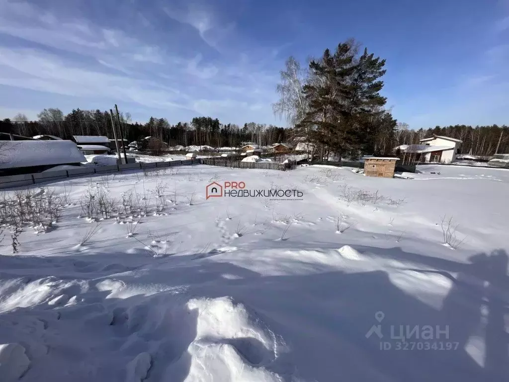 Участок в Новосибирская область, Новосибирский район, Барышевский ... - Фото 2