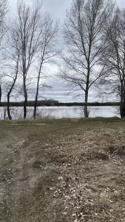 Участок в Тюменская область, Тюменский муниципальный округ, ... - Фото 1