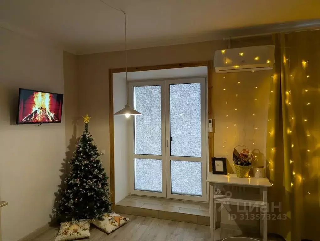 Студия Псковская область, Псков Ольгинская наб., 5А (33.0 м) - Фото 1