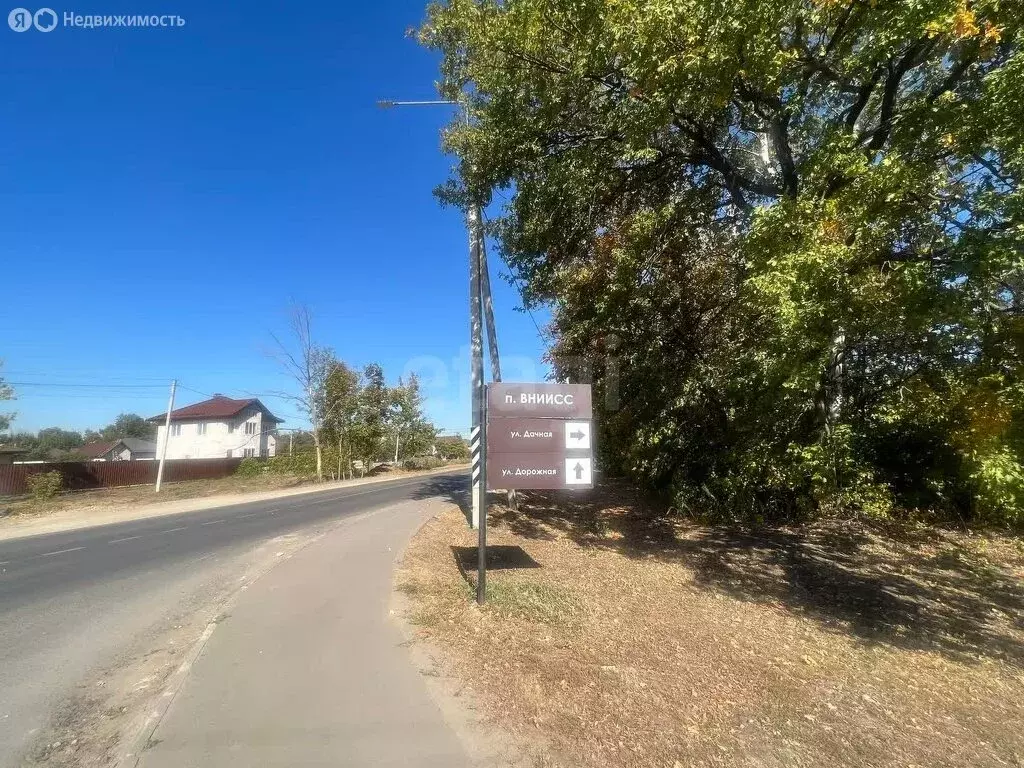 Участок в Рамонский район, Айдаровское сельское поселение, посёлок ... - Фото 1