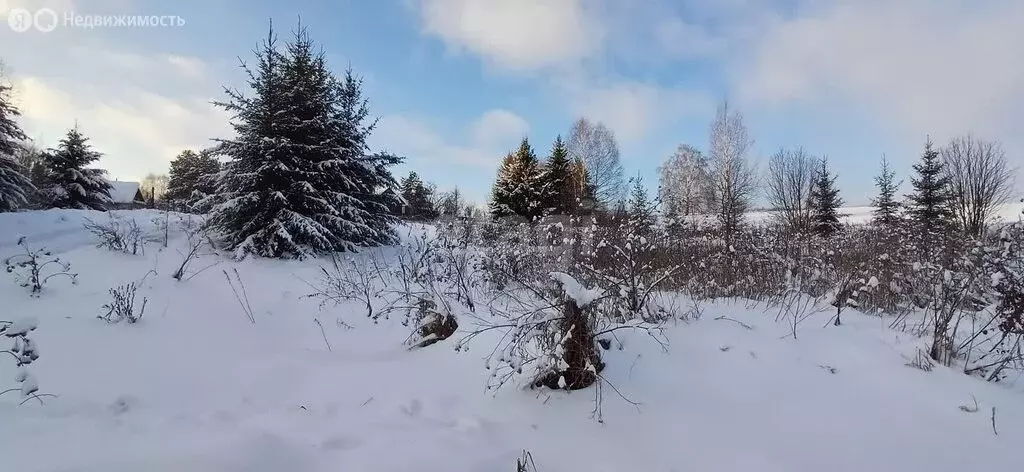 Участок в Пермский край, Кунгурский муниципальный округ, деревня ... - Фото 1