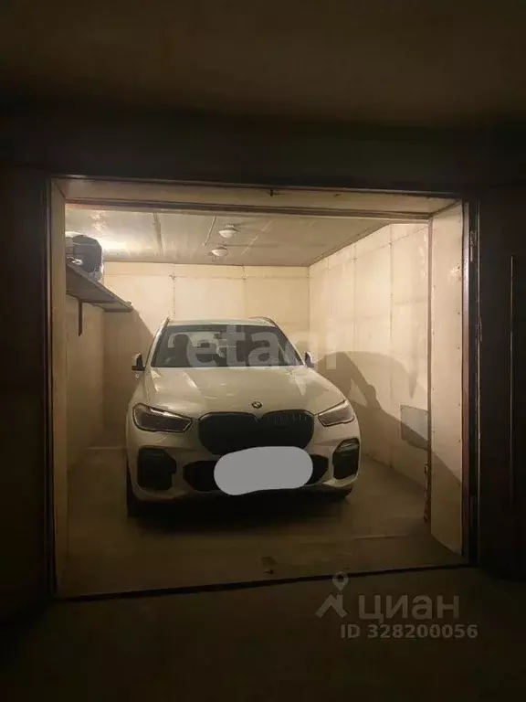 Гараж в Амурская область, Благовещенск ул. 50 лет Октября, 239 (21 м) - Фото 1