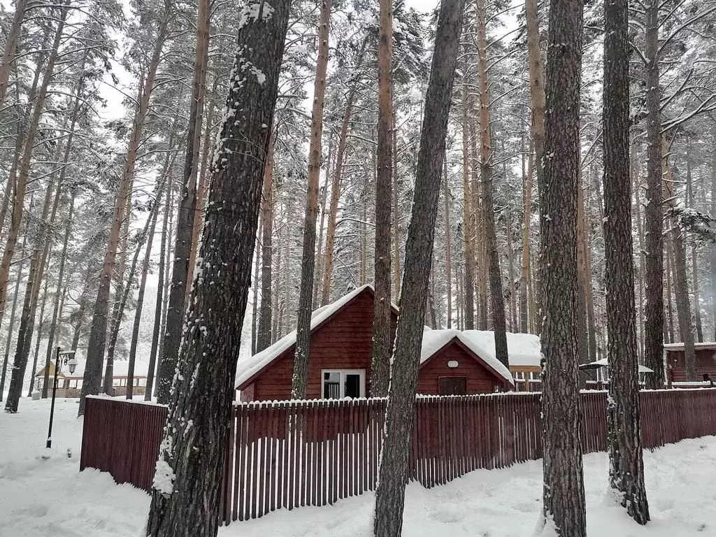 Дом в Башкортостан, Белорецк  (40 м) - Фото 2