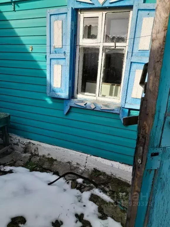 Дом в Омская область, Тюкалинск Новая ул., 46 (60 м) - Фото 0