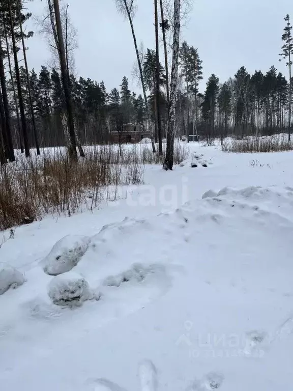 Участок в Новосибирская область, Новосибирский район, Кубовинский ... - Фото 1